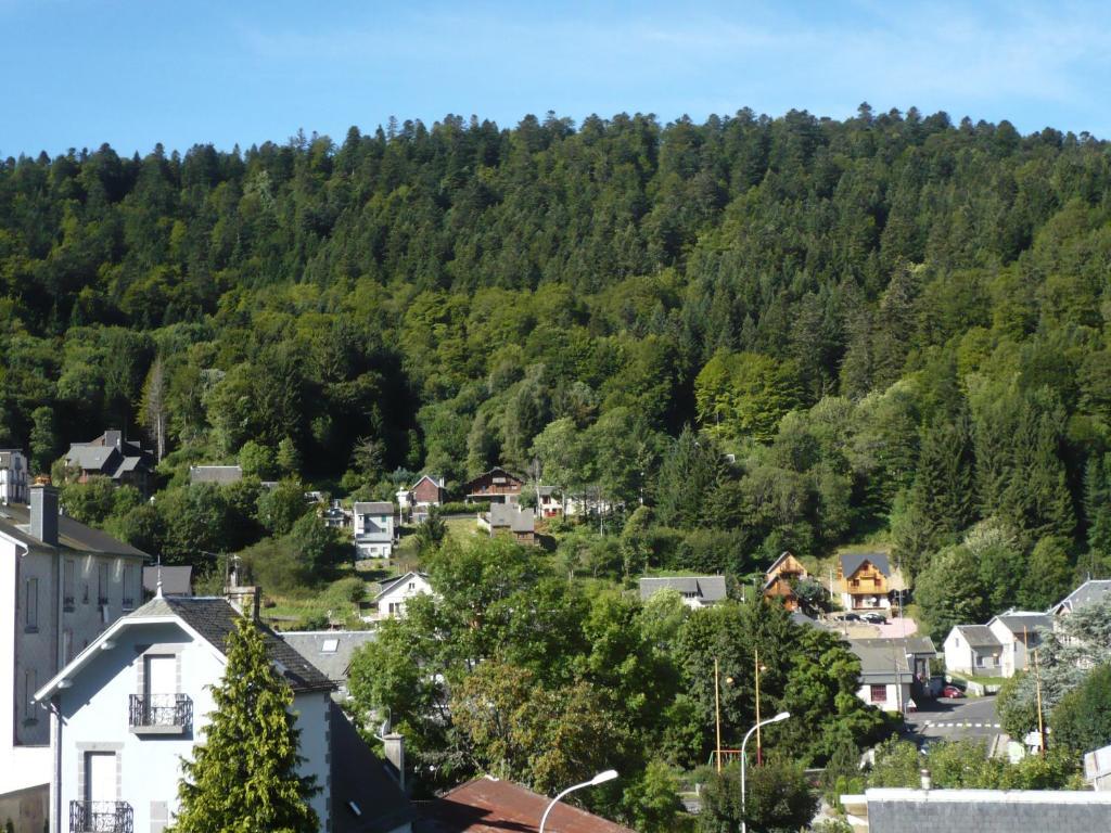 Residence Wilson Le Mont-Dore Rum bild